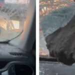 Tras intento de robo en la autopista México-Puebla, roca queda incrustada en parabrisas.