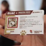 Mascotas también requieren CURP; multa por no tramitarla es de 2 mil pesos.